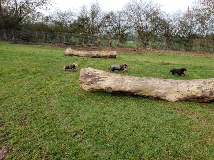 1448 c36e35ba7e2156c14999b70250816fd6 1