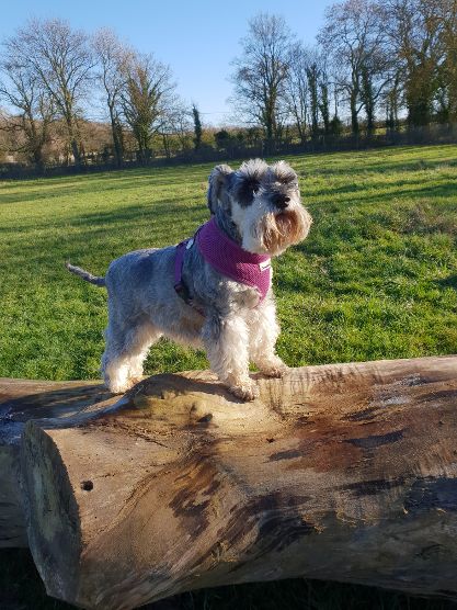 1448 d98b8c20d532ed8e462ee1016b020fcf 1