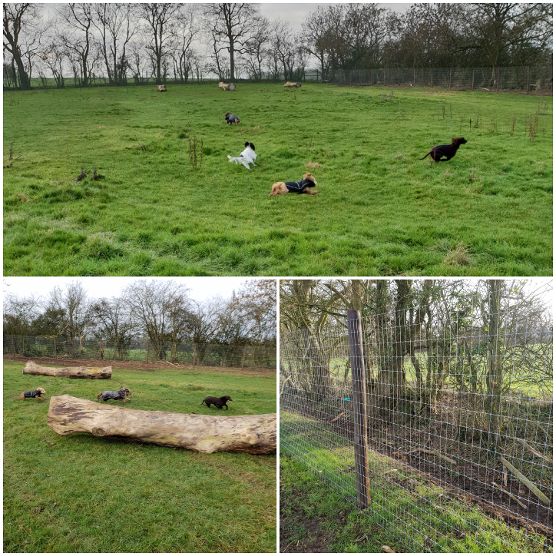 1448 eb7182ac682bebf24e921eade15835f9 1