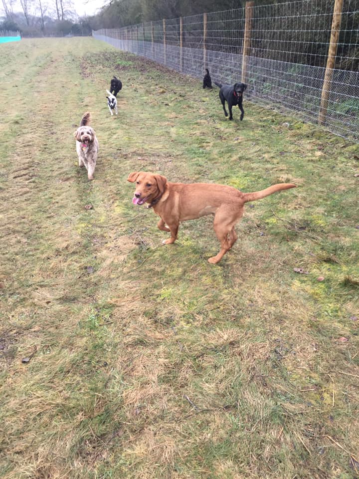 1449 09271dffb495d7b14ec56cc235197fb0 1