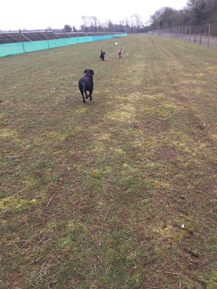 1449 0fde0a8e6883ec032a89e0b7e4487b08 1