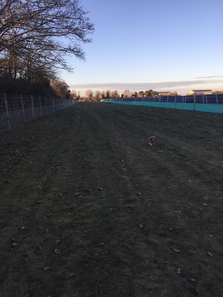 1449 10836bd4a3cc363baab828426e4952ff 1