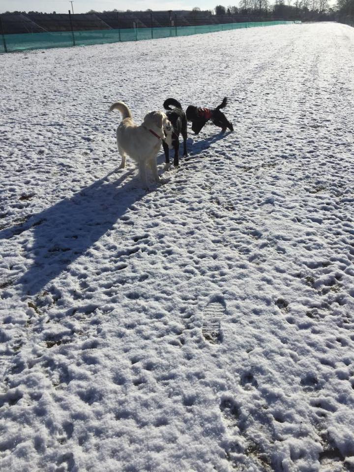 1449 47cce146e48881ace657288acbb1738c 1