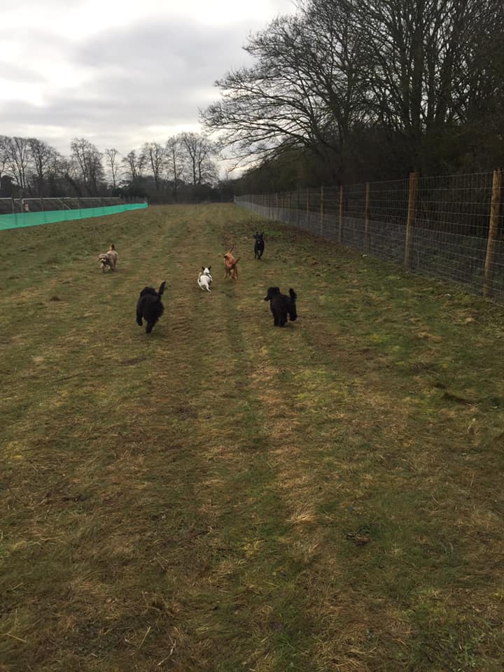 1449 5f4faff794a1661d4930773c1667b0de 1