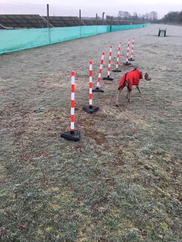 1449 84d6897fcfef3cafcc7155cbba8c0d6b 1