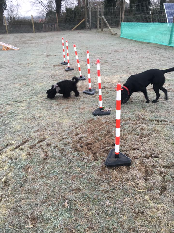 1449 ada5f38809245820a2184adad628a3c5 1