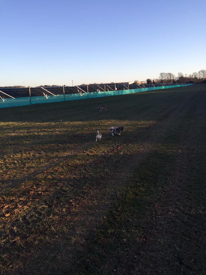 1449 b83771cb9d096ccd2f7a1fa4e02857df 1