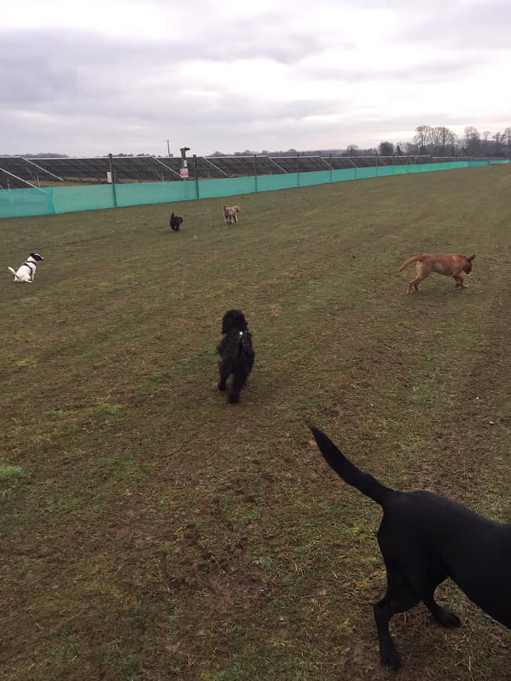 1449 e48d336601789079930b2efc462b7ce0 1