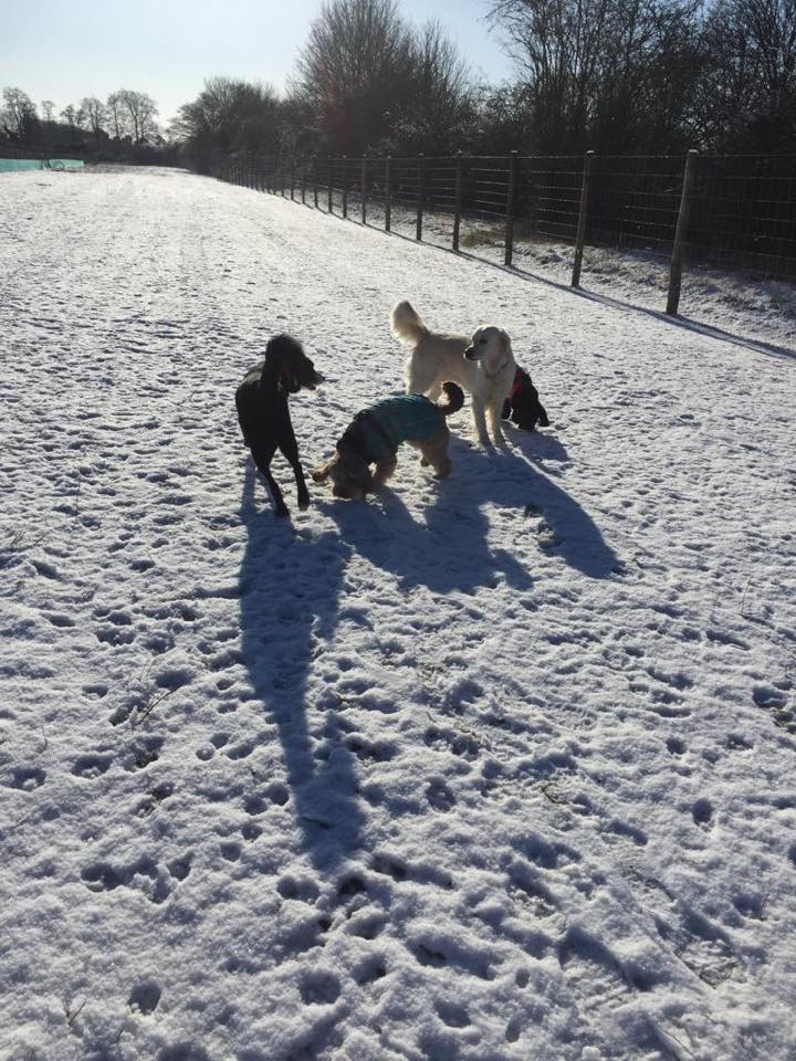 1449 e84a06860287123f5ddb623620d70d89 1