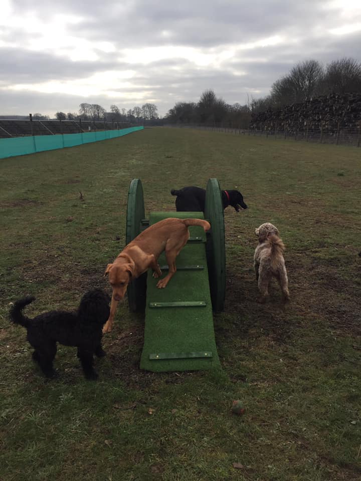 1449 f5fddc3c55cda9cf64eff8a76c6a9967 1