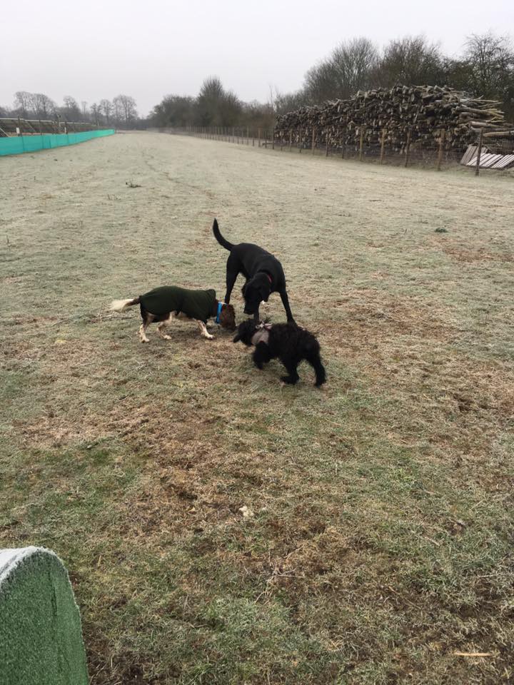 1449 fd409e49129319ef46a236def4de2198 1