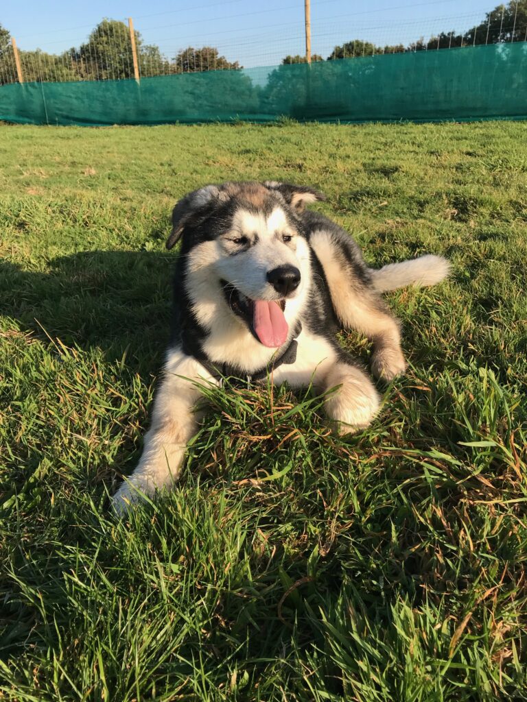 1452 836ba00db86561bbf50a86649ffe4d63 1 768x1024