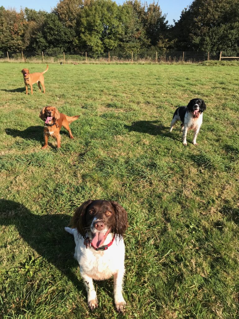 1452 922591ef9552fd7ac2932c8600d2dbe9 1 768x1024