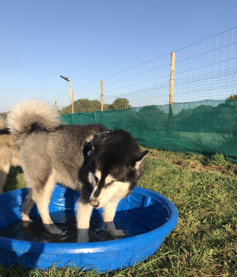 1452 ae26e218d95bfa37e857784f6a499bd3 1 scaled 768x896