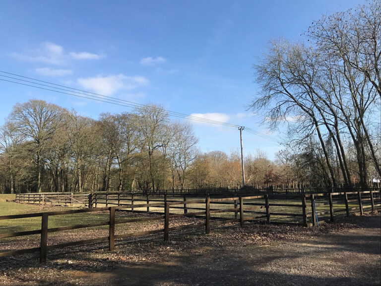 1453 0d9b2677582dc802fd1aff18abe40029 1 768x576