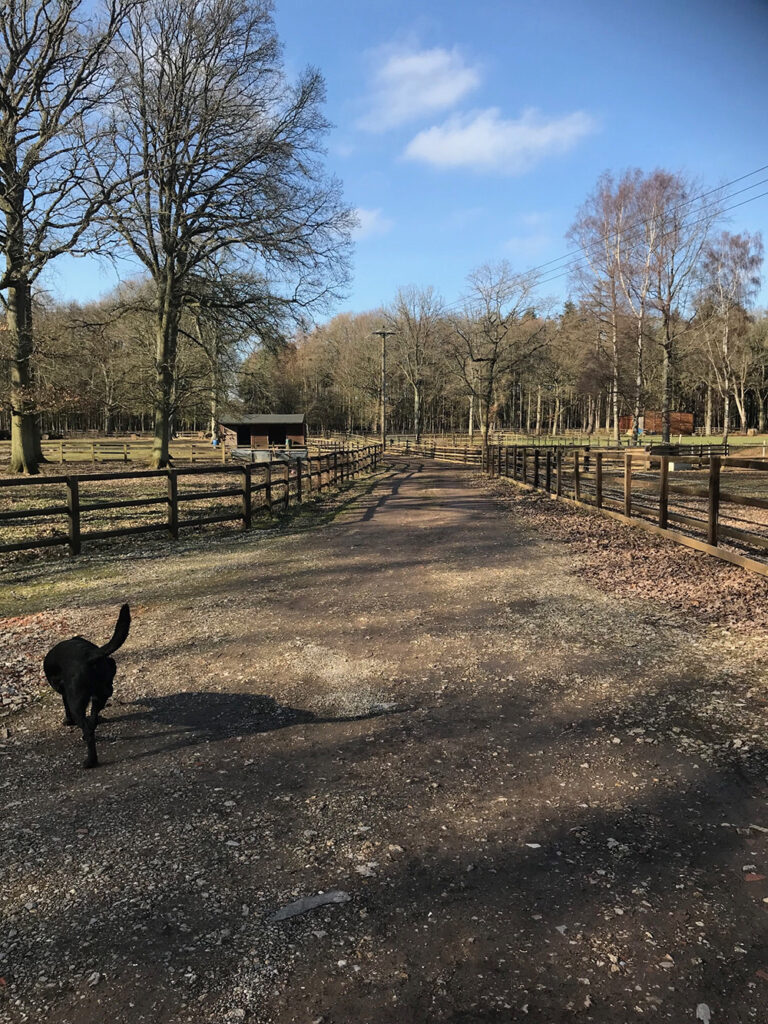 1453 1b7f4a8db756f4611199314dff6fa0ec 1 768x1024