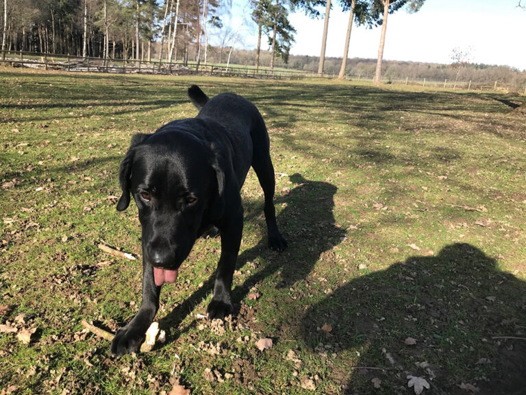 1453 248836fc563fd0c444a6096a9b94fca3 1 768x576