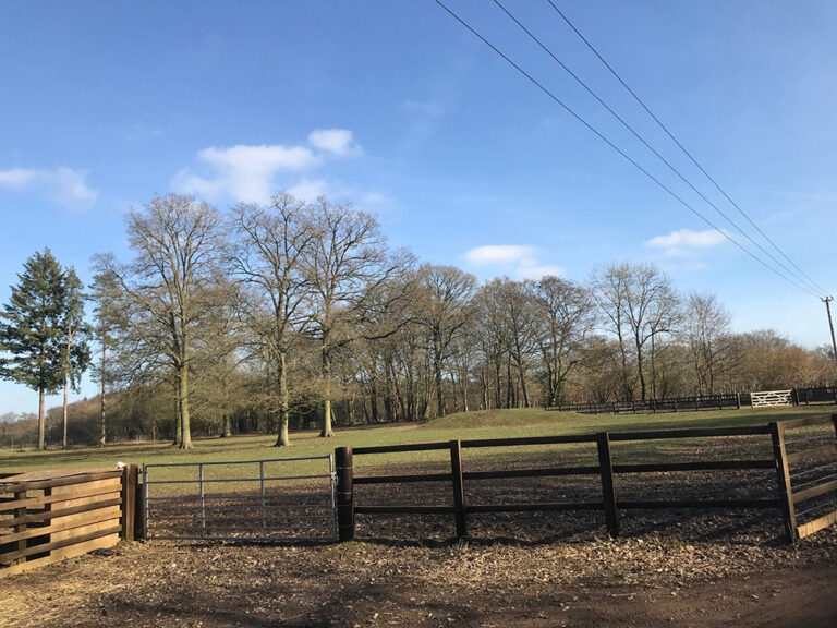 1453 69901f569c8384878550bd3c58a985d2 1 768x576