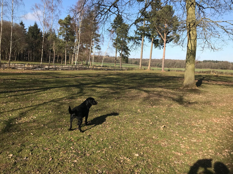 1453 7cf9cf204a981f197d534f99b2aabe73 1 768x576