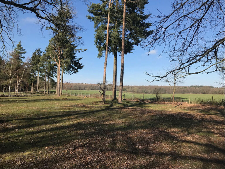 1453 ba96b24208528341cc184761bfa664ee 1 768x576