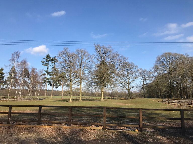 1453 f7afda1e4d412a8250a7352d2754c0d9 1 768x576