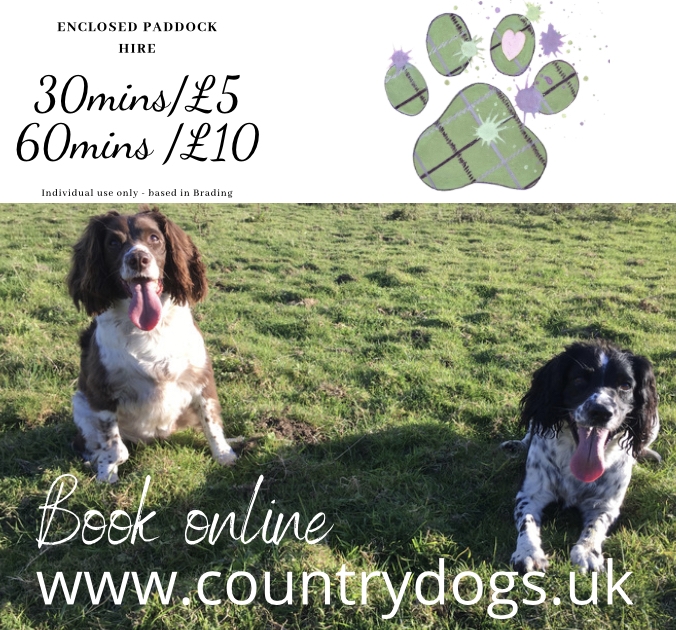 1456 7491a37d879374e165338ea522e3ef29 1