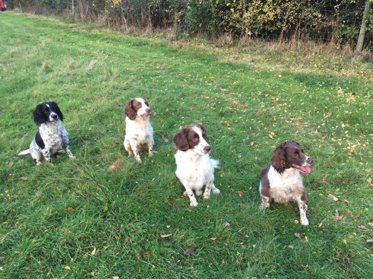 1456 f1df0c90e1c77c836bac695984634e69 1 768x576