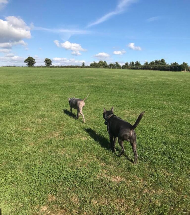 1457 625e34761eec34eebca257a4657fdd16 1 768x869