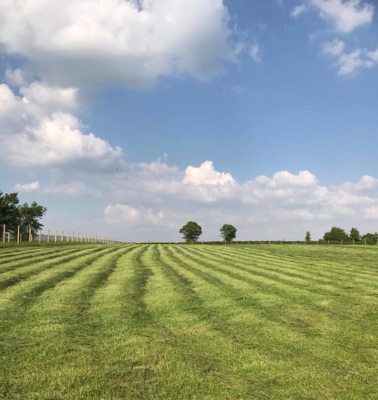 1457 e5370d1071b3d93afd1a76134a695a04 1 768x814