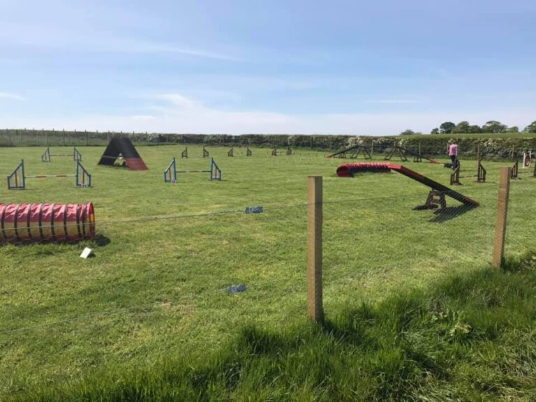 1458 783bf54a837d7df2f46a33c247d1bc3d 1 768x576