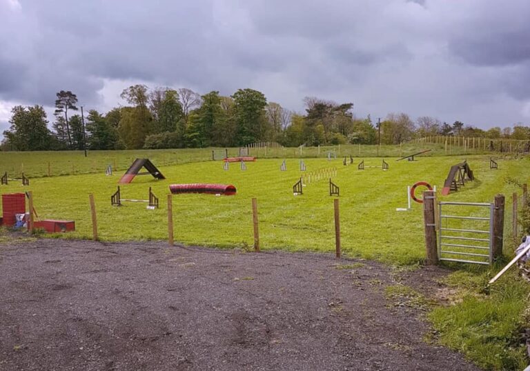 1458 db04c735ef0bcbe6b7348266a7ea6818 1 768x538