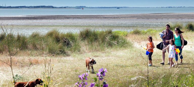 1464 2793f2e9ff0faae9bcbac5955f5353f3 1 768x346