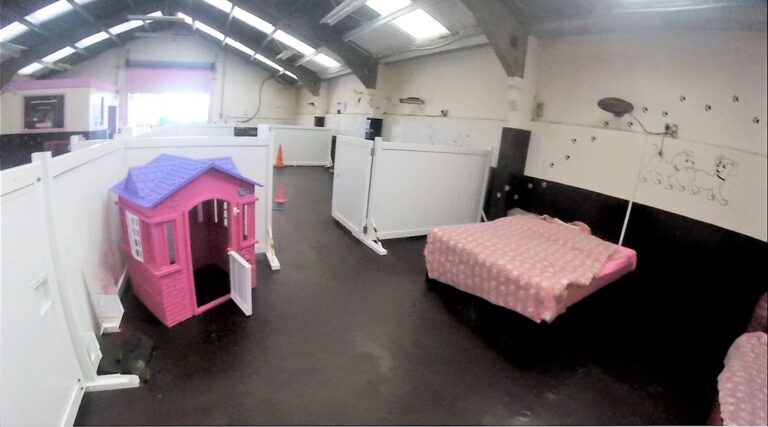 1465 005abb11789d8ac6fdc63c53f80b3c00 1 768x427