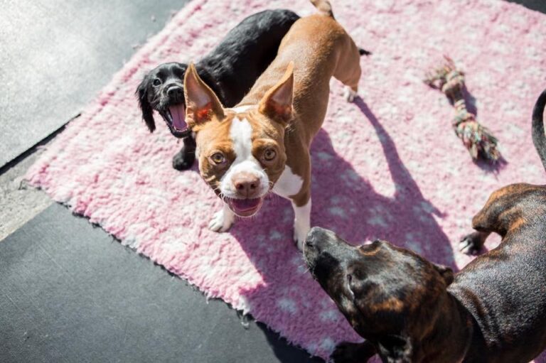 1465 3eaebcd1ea891fb8654a1fa867d966eb 1 768x511