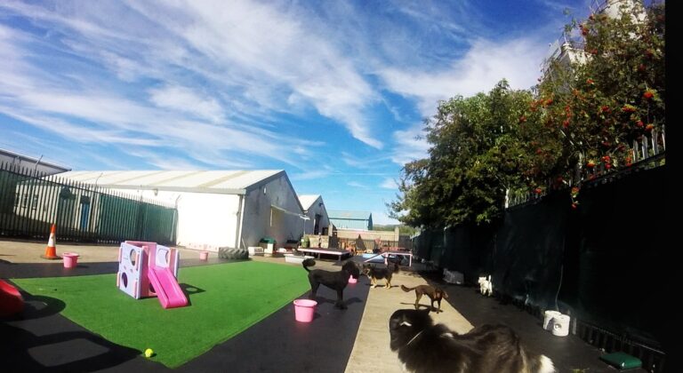 1465 6c4af99a7d51c319c663615fa66c621b 1 768x420