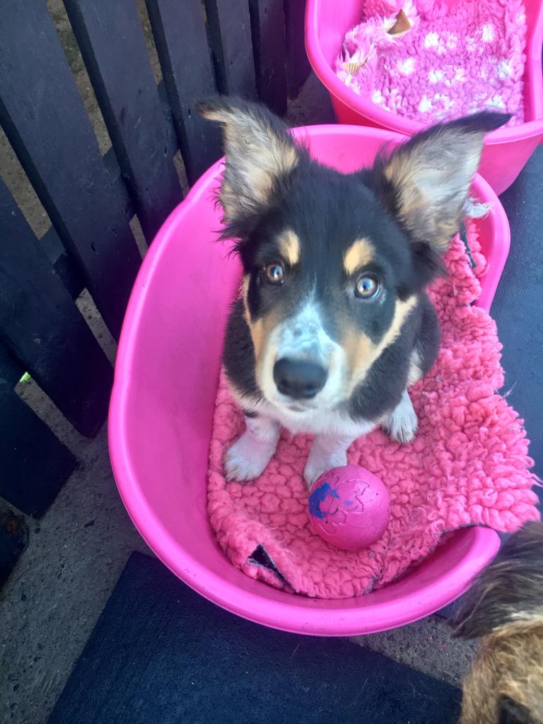 1465 72b8054659a68a283a79d2170a4ee120 1