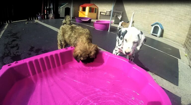 1465 764bf6d7026e81ffdc63944a7ed18bc4 1 768x423