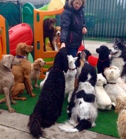 1465 7691edc76e85d63a5dd540099e76669e 1