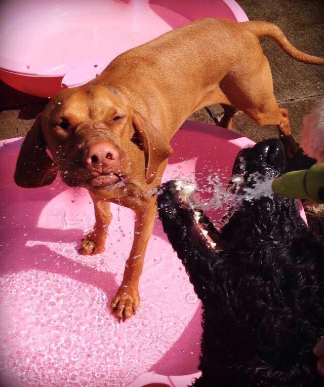 1465 83134d328b806b18b0c085d867f39704 1