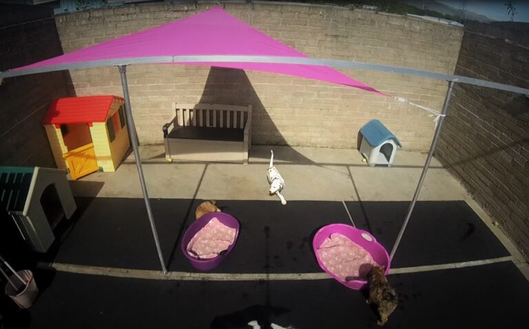 1465 8ea71a8bf0ca955e0d27fdc3b973a14a 1 768x478