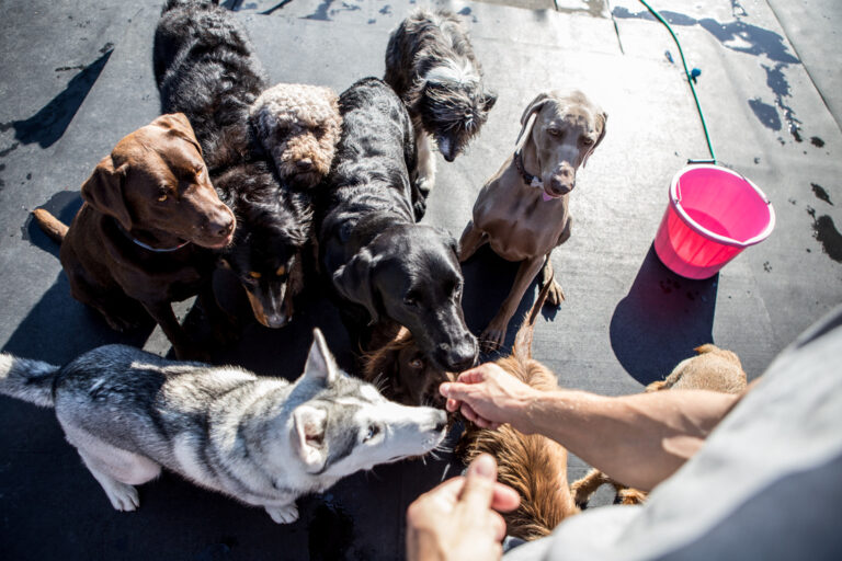 1465 989a38b9ebd374eecc5e91818d4efbff 1 768x512