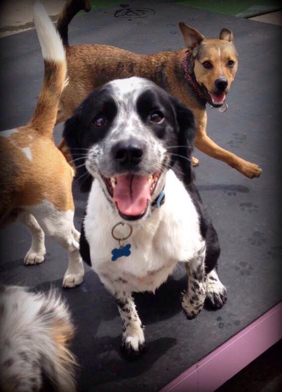 1465 c16053117ba096062d8025d4ac13bc53 1