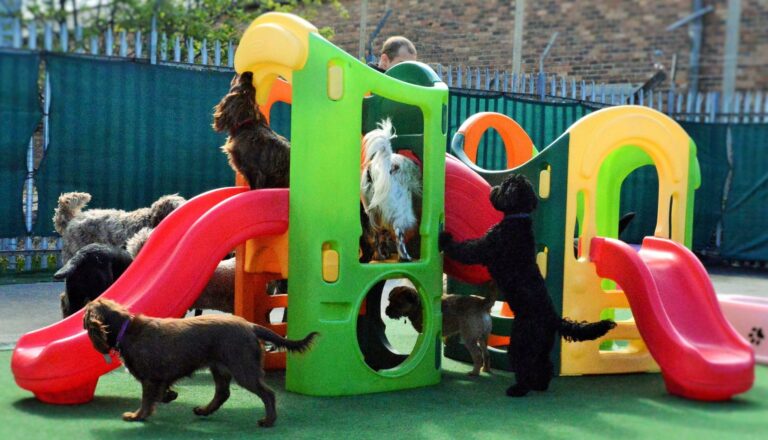 1465 c8b86f67bf415b44e1e879e3378597db 1 768x440