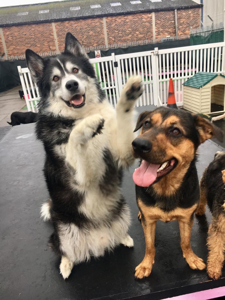 1465 d04433d14e2d7b0d1cc87ec12351cf58 1