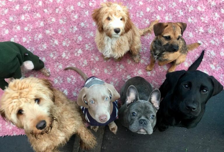 1465 edda7c3314c0bd2528152ab00ea3a0e1 1 768x521