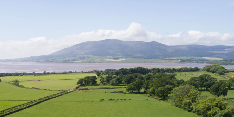 1466 26d0737d86b11a7900ec846b9c461c42 1 768x384