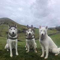 1467 5bda969282e2c89c4c0126d45bb993b9 1