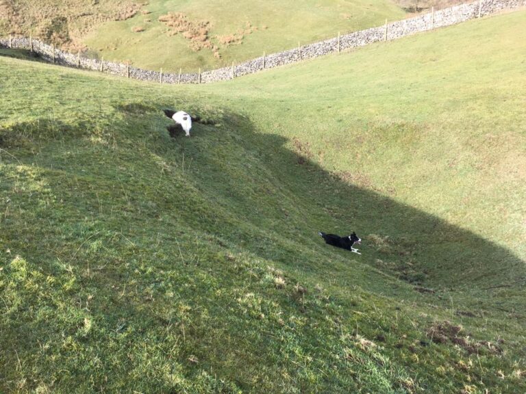 1467 8972ab7006fac394cd45a95898eb66b3 1 768x576