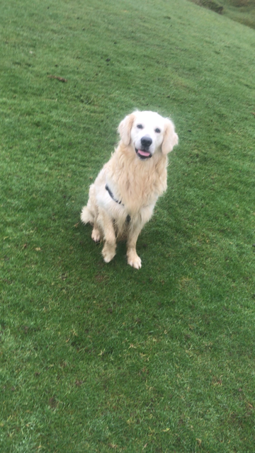 1467 de41012c695e866c978f8fd2555c5bd1 1