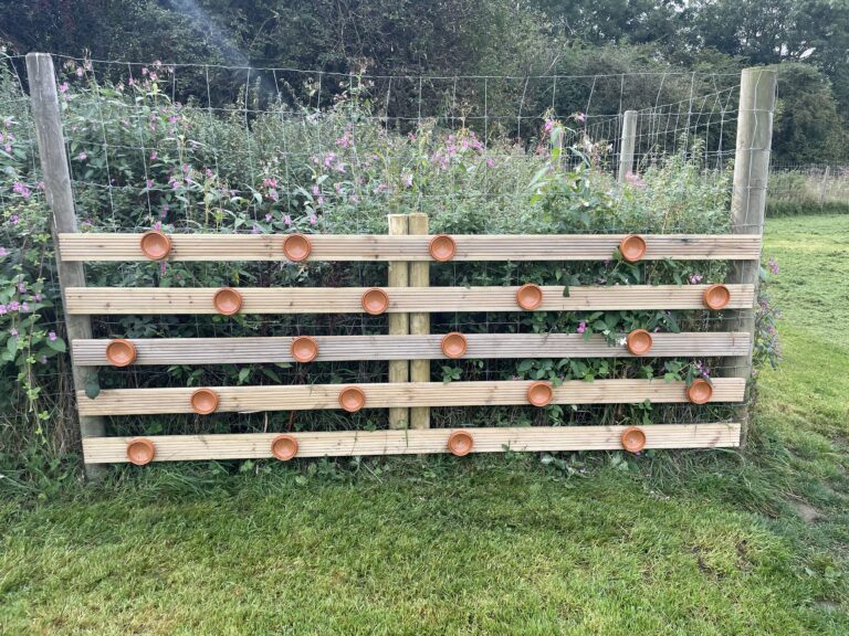 1468 115bcf6d4906832fc75a1ba32eda3c07 1 768x576